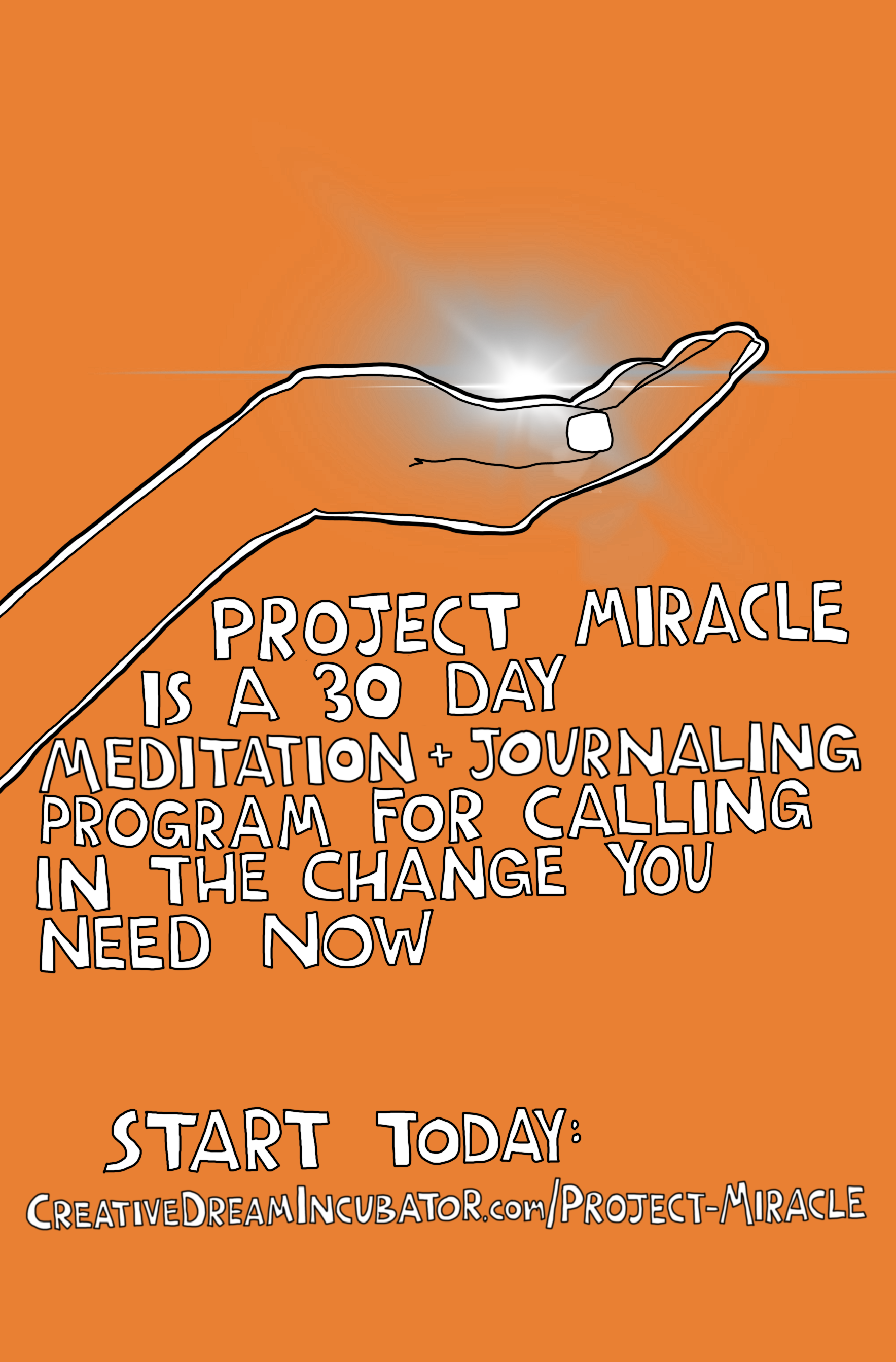 Project Miracle